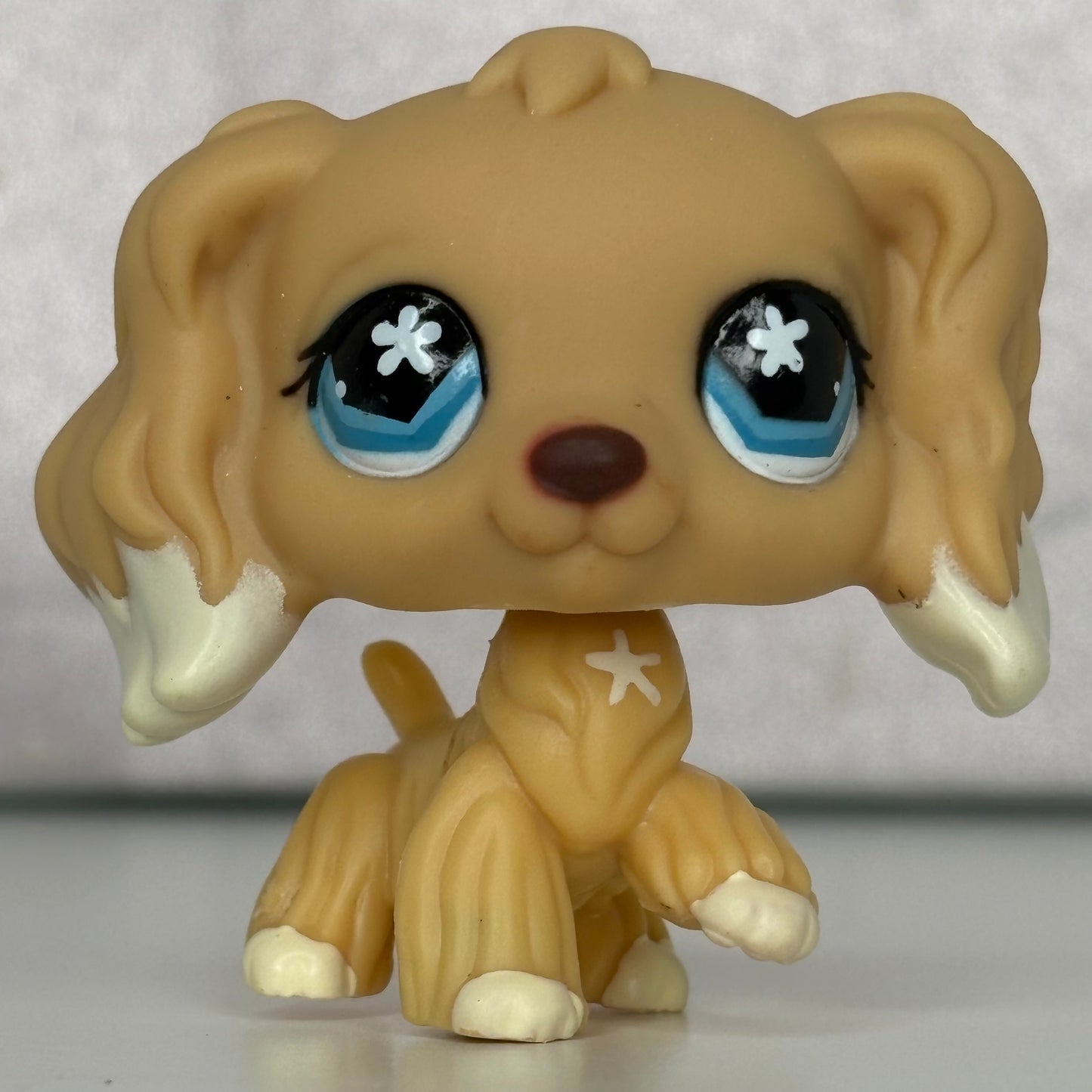 LPS Cocker Spaniel Dog #748