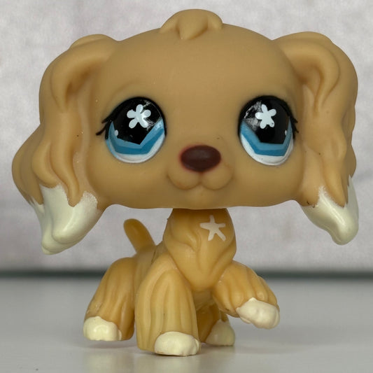LPS Cocker Spaniel Dog #748