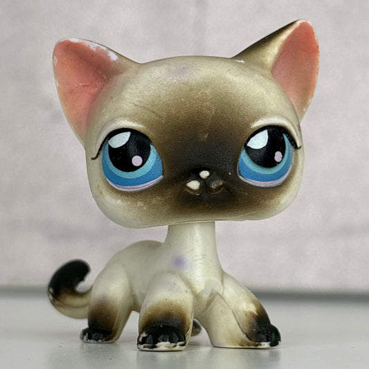 LPS Siamiese Shorthair Cat #5**