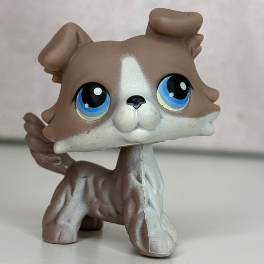 LPS Collie Dog #67*