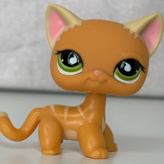LPS Orange Shorthair Cat #525