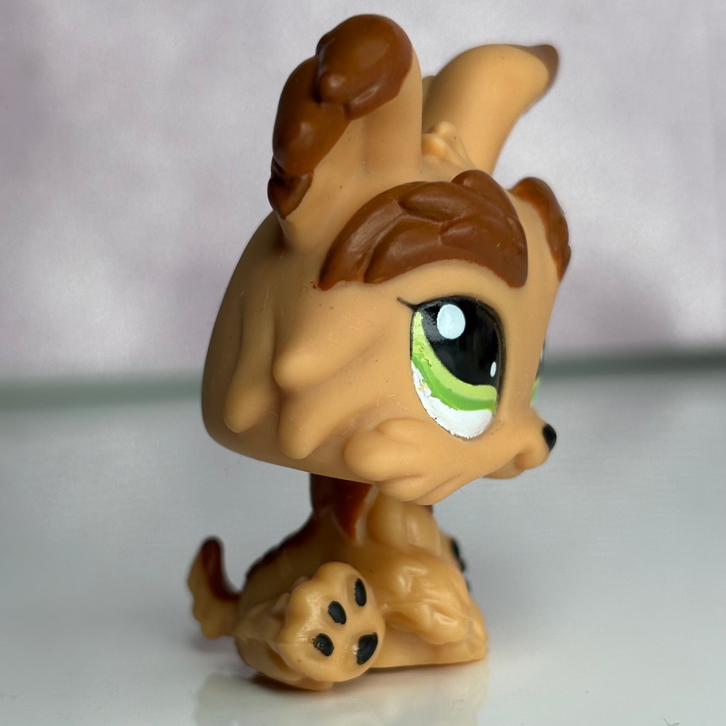 LPS Yorkie Dog #1016