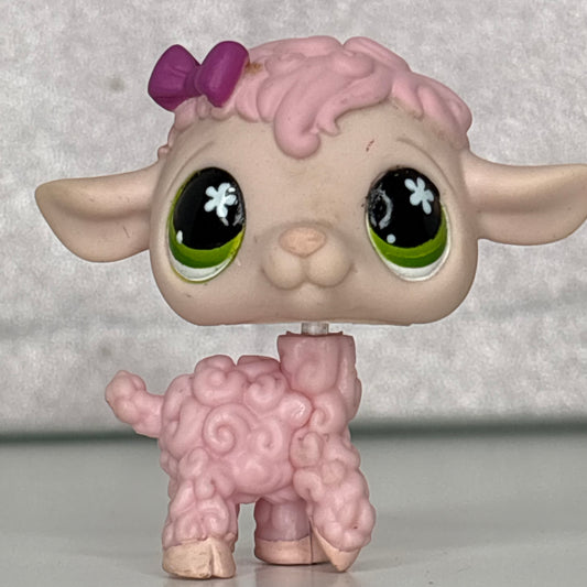 LPS Lamb Sheep