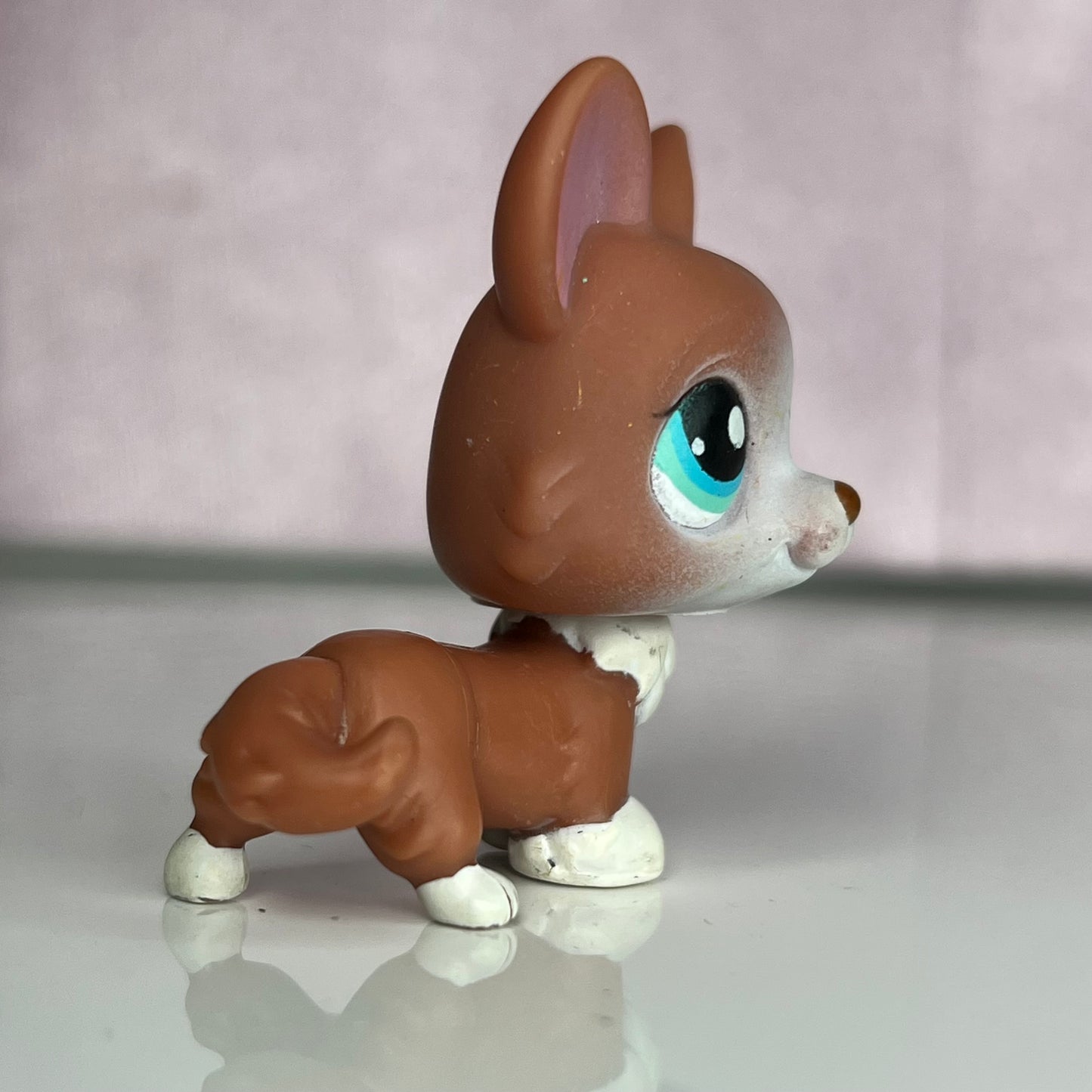 LPS Corgi Dog #317