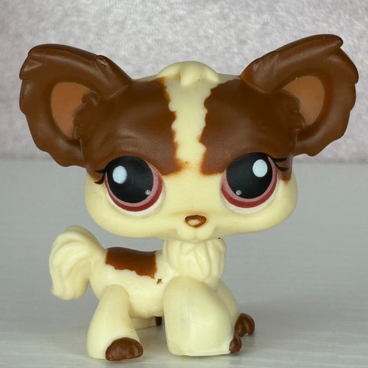 LPS Chihuahua Dog #385