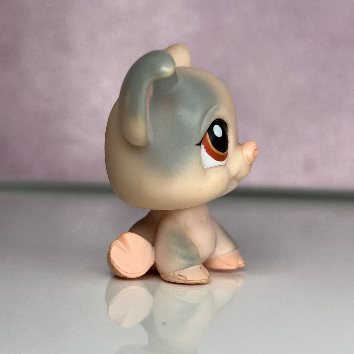 LPS Pig #276