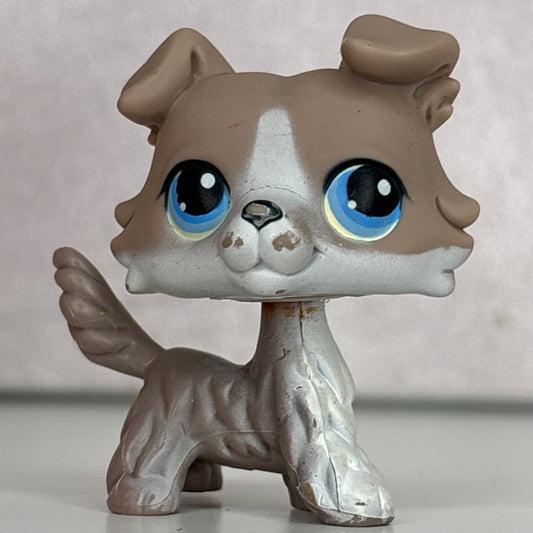 LPS Collie Dog #67*