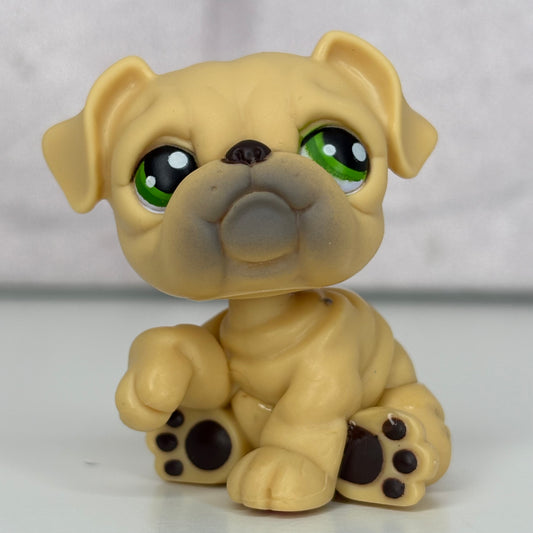 LPS Bulldog #107