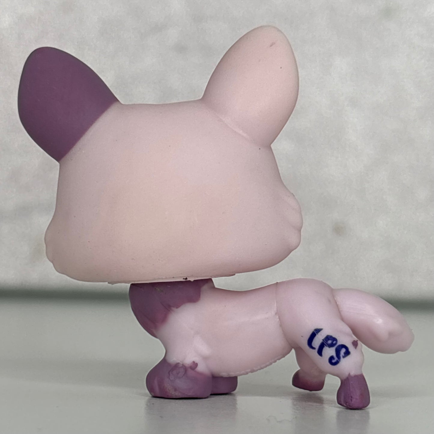 LPS Corgi Dog*