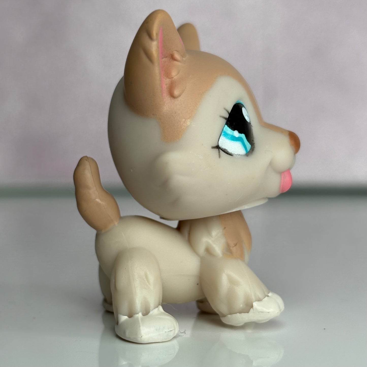 LPS Husky Dog #1012