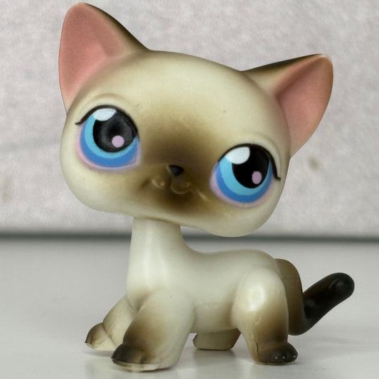 LPS Siamiese Shorthair Cat #5