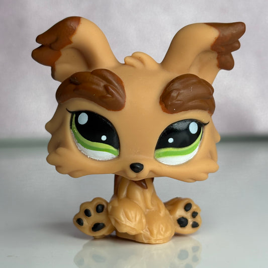 LPS Yorkie Dog #1016