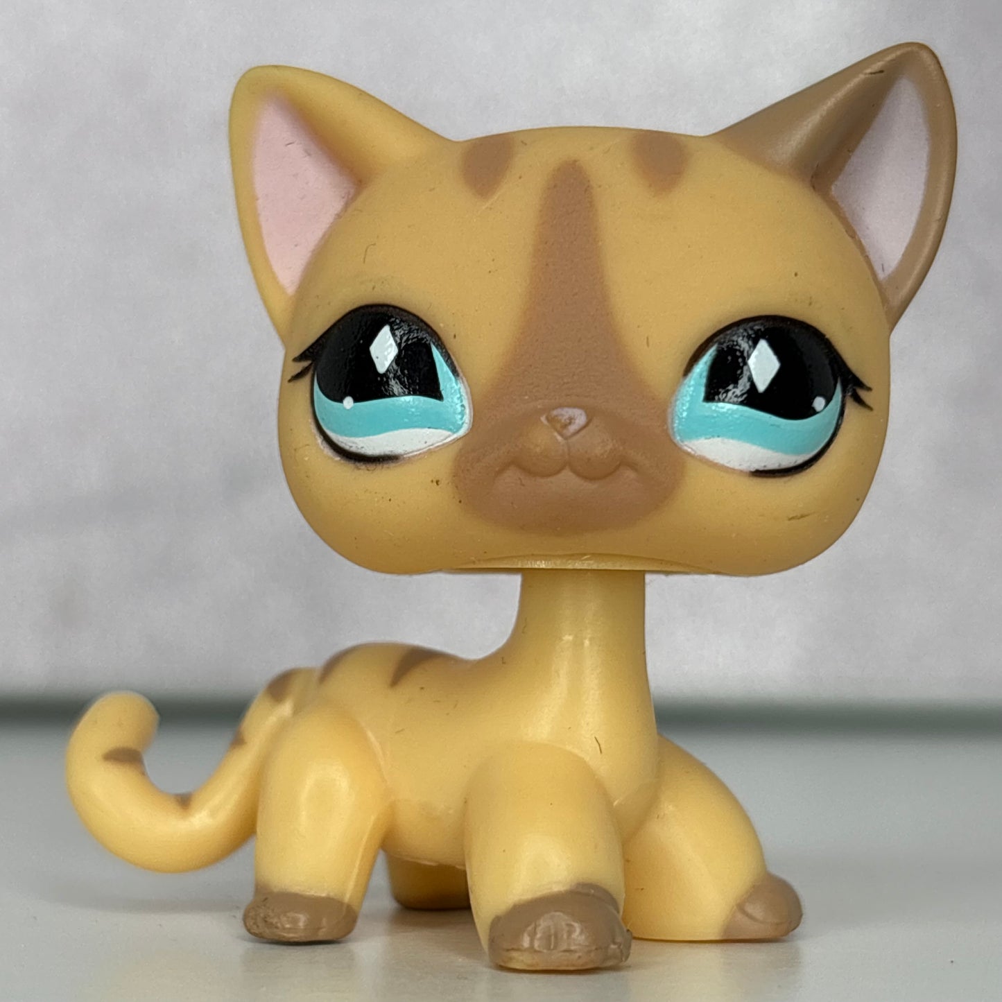 LPS Shorthair Cat #886*