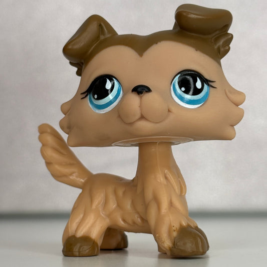 LPS Collie Dog