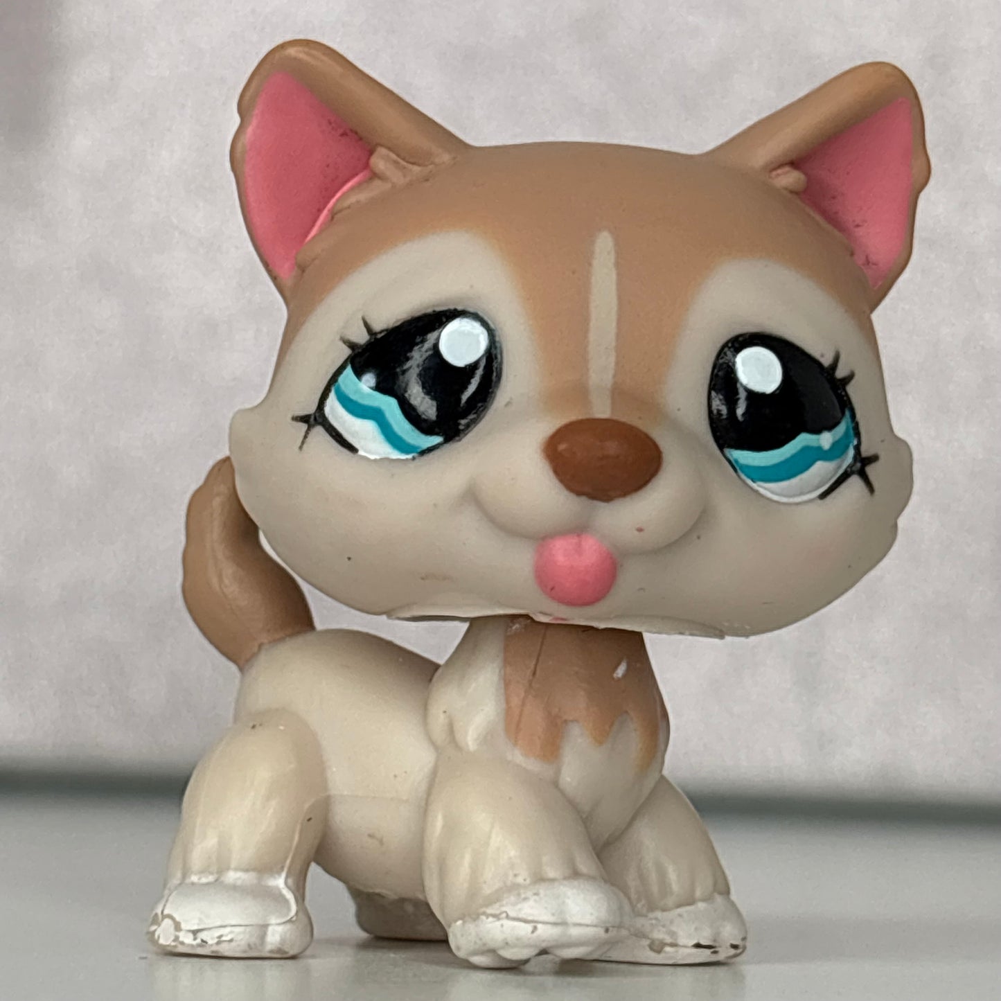 LPS Husky Dog #1012