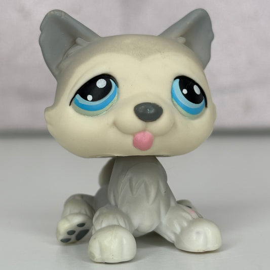 LPS Husky Dog #70