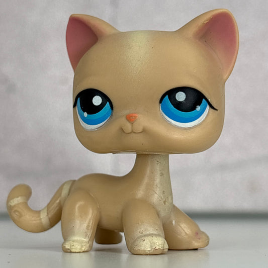 LPS Shorthair Cat #228