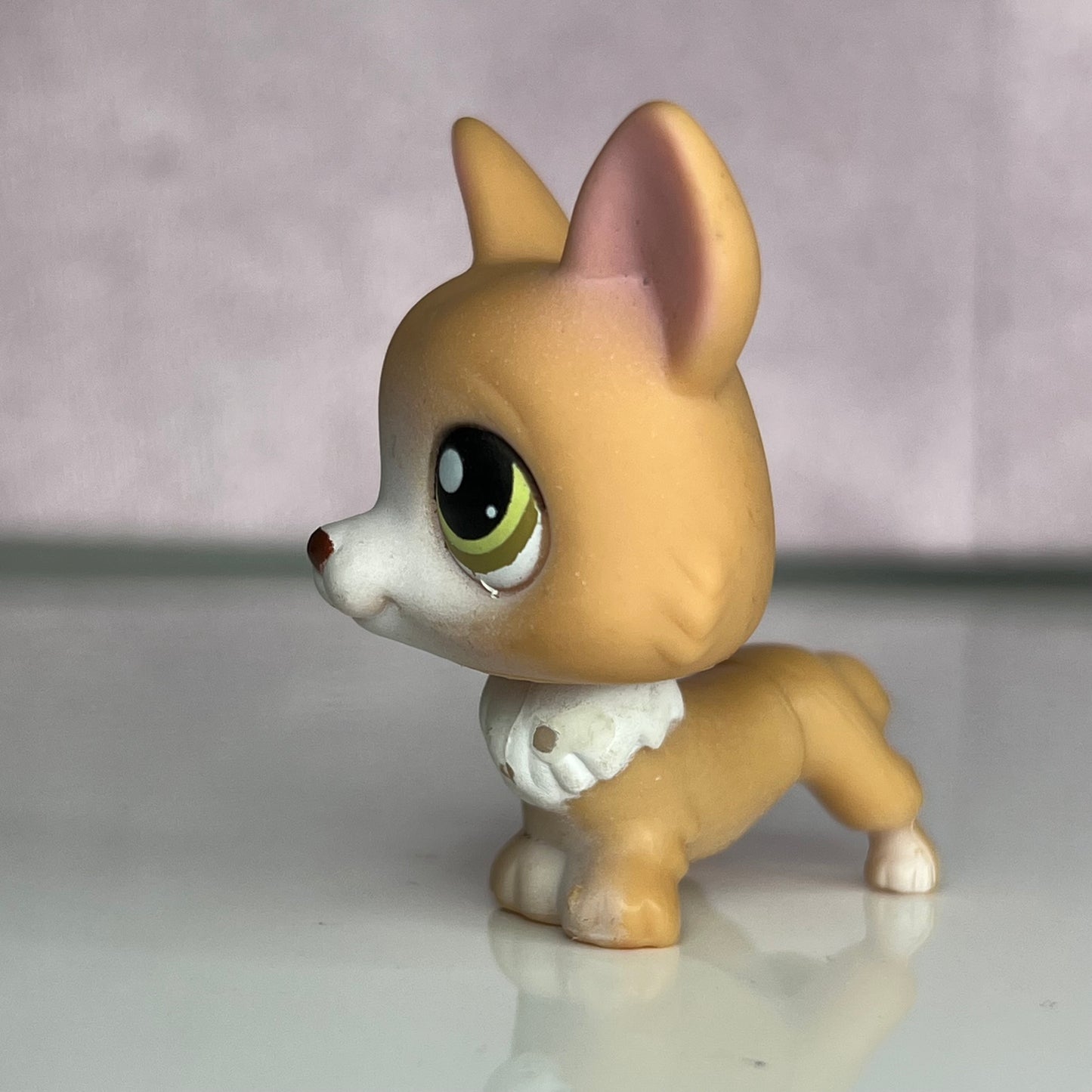 LPS Corgi Dog #183