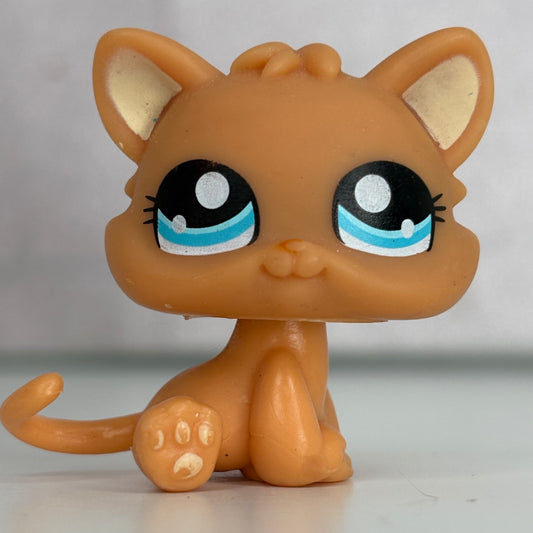 LPS Kitten Cat #1371