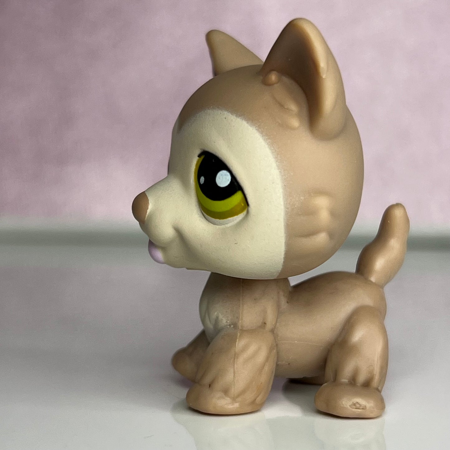 LPS Husky Dog #358