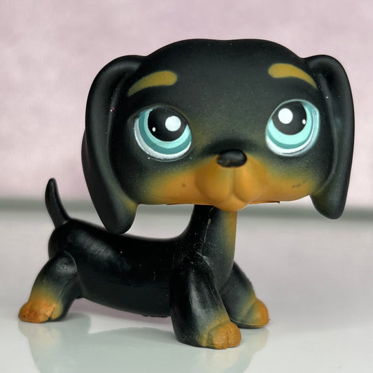 LPS Black Daschuand Dog #325