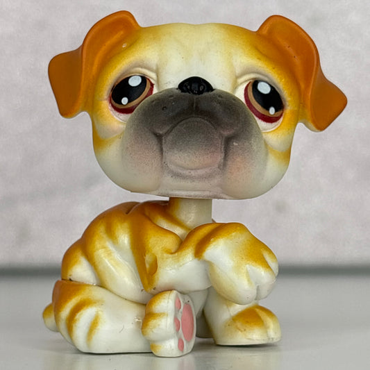 LPS Bulldog #46