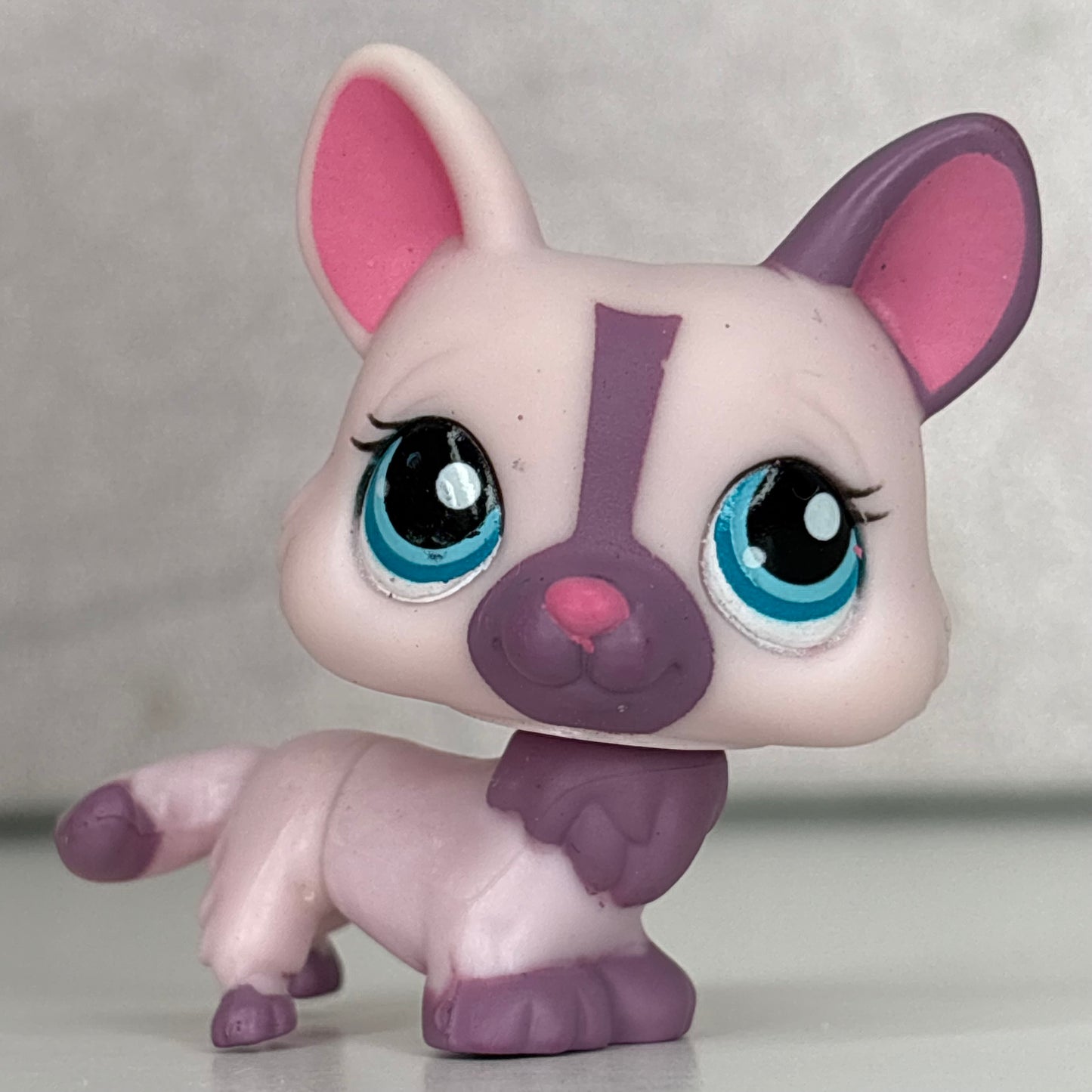 LPS Corgi Dog