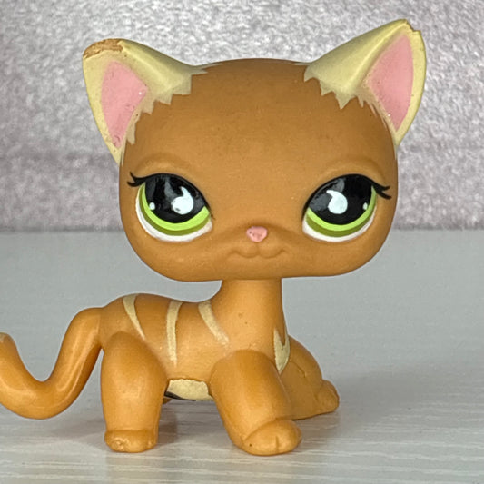 LPS Orange Shorthair Cat #525