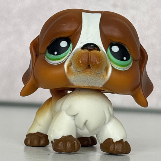 LPS Saint Bernard Dog #335