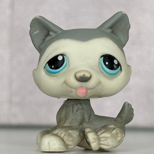 LPS Husky Dog #70