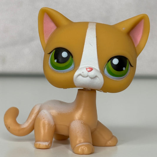 LPS Shorthair Cat #72