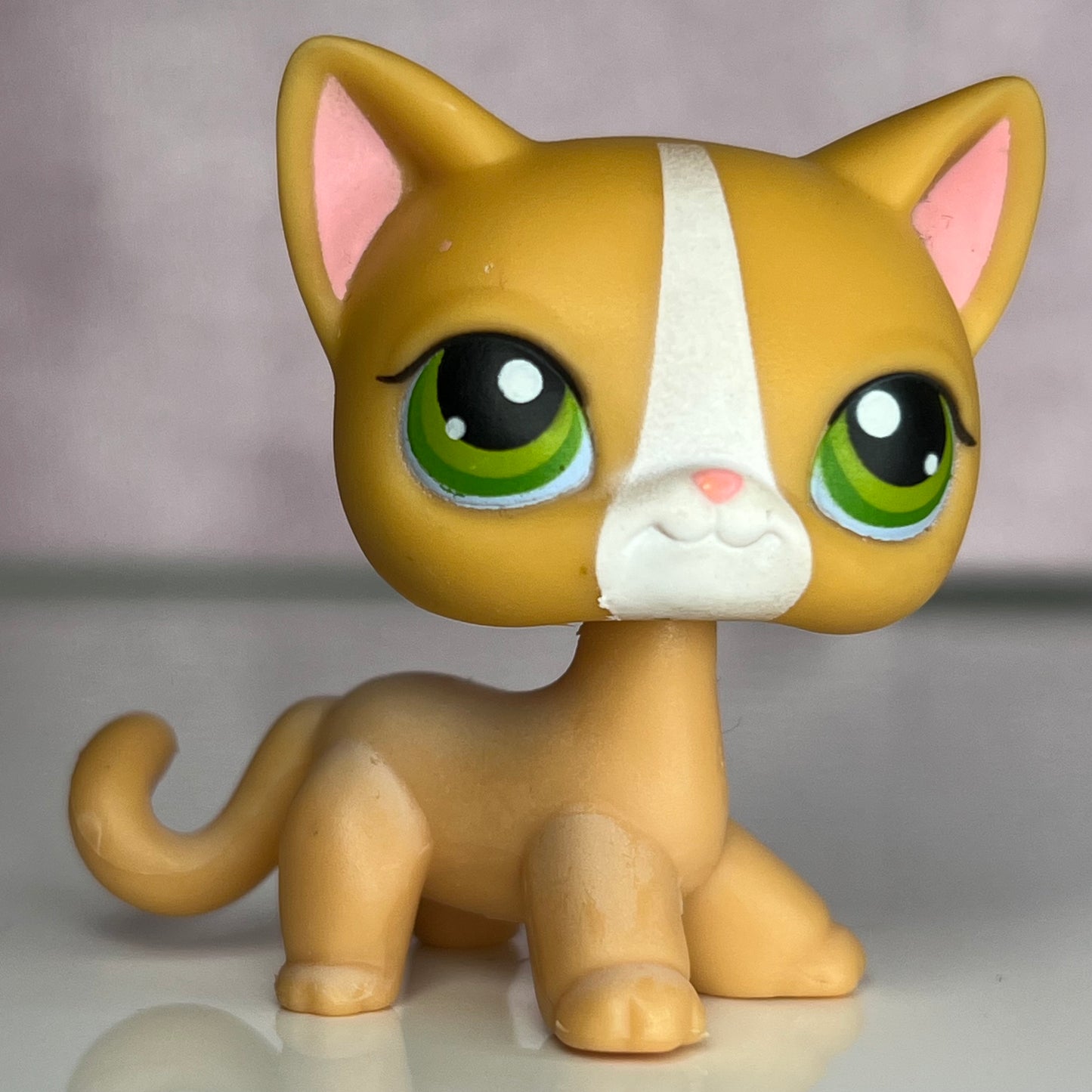 LPS Shorthair Cat #72