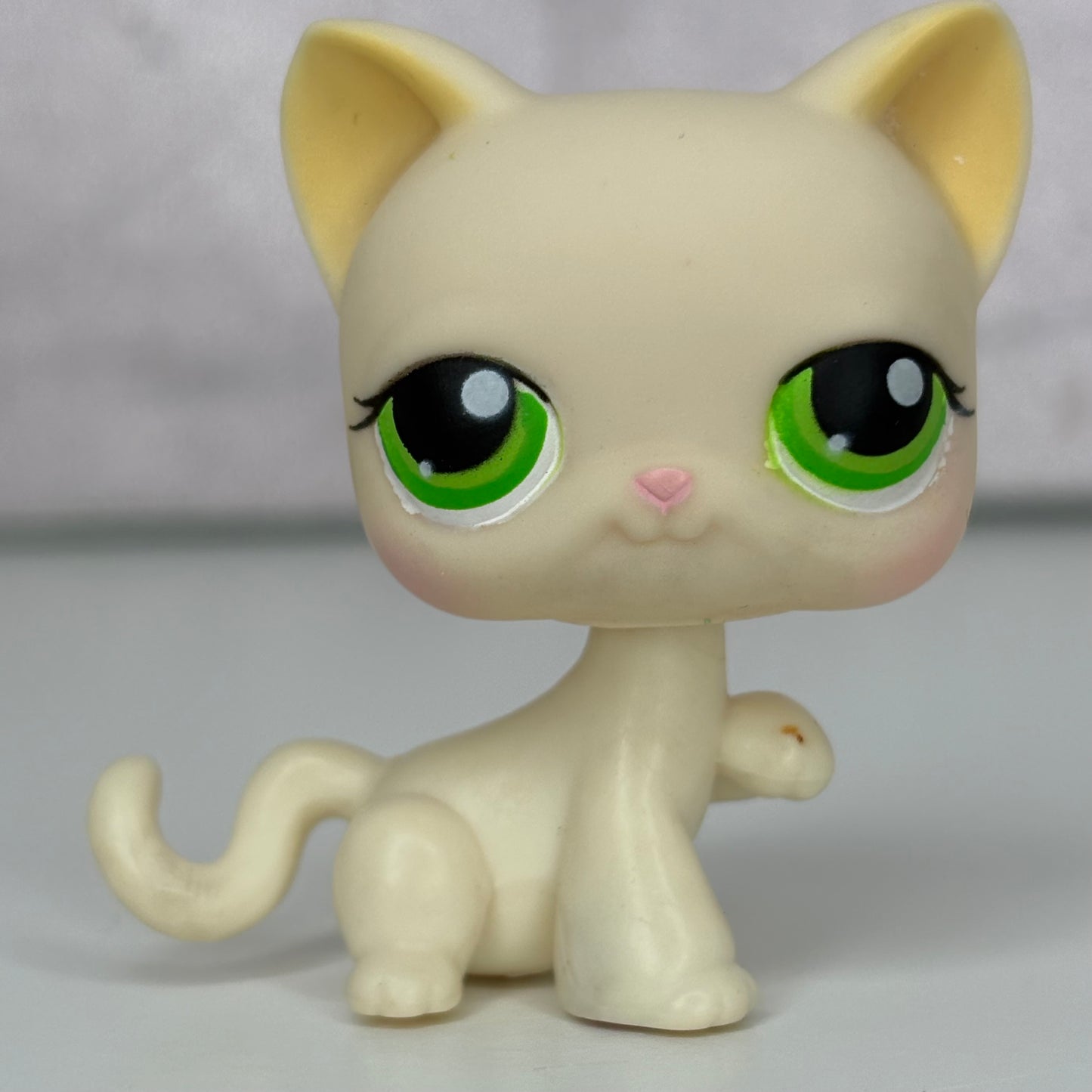 LPS Paw Up Shorthair Cat #98