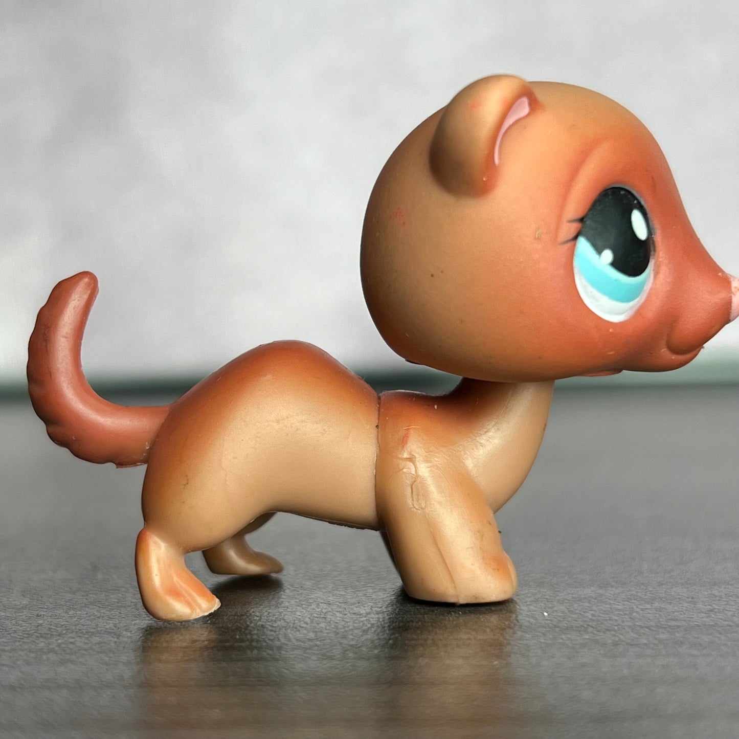 LPS Ferret #334