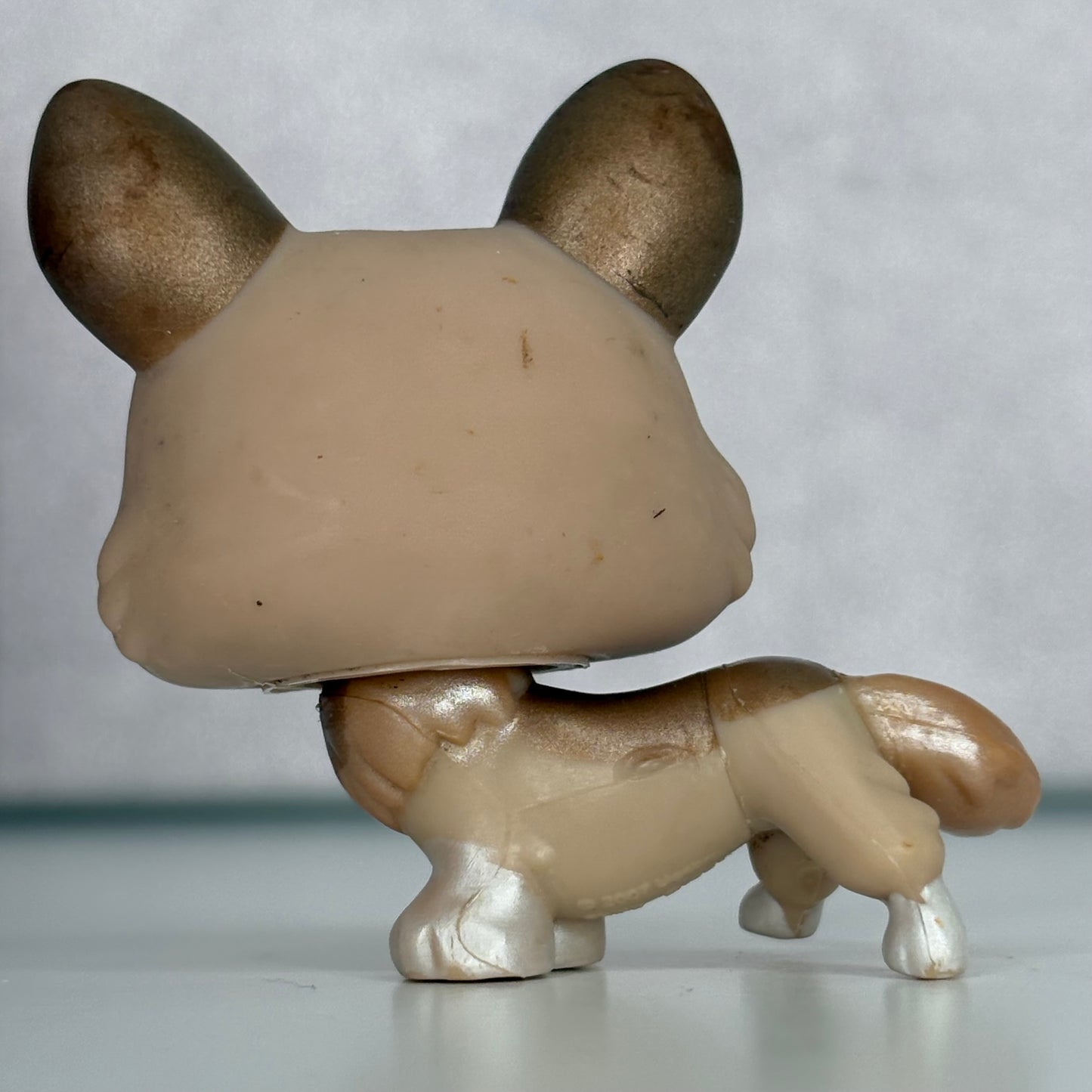 LPS Corgi Dog #871