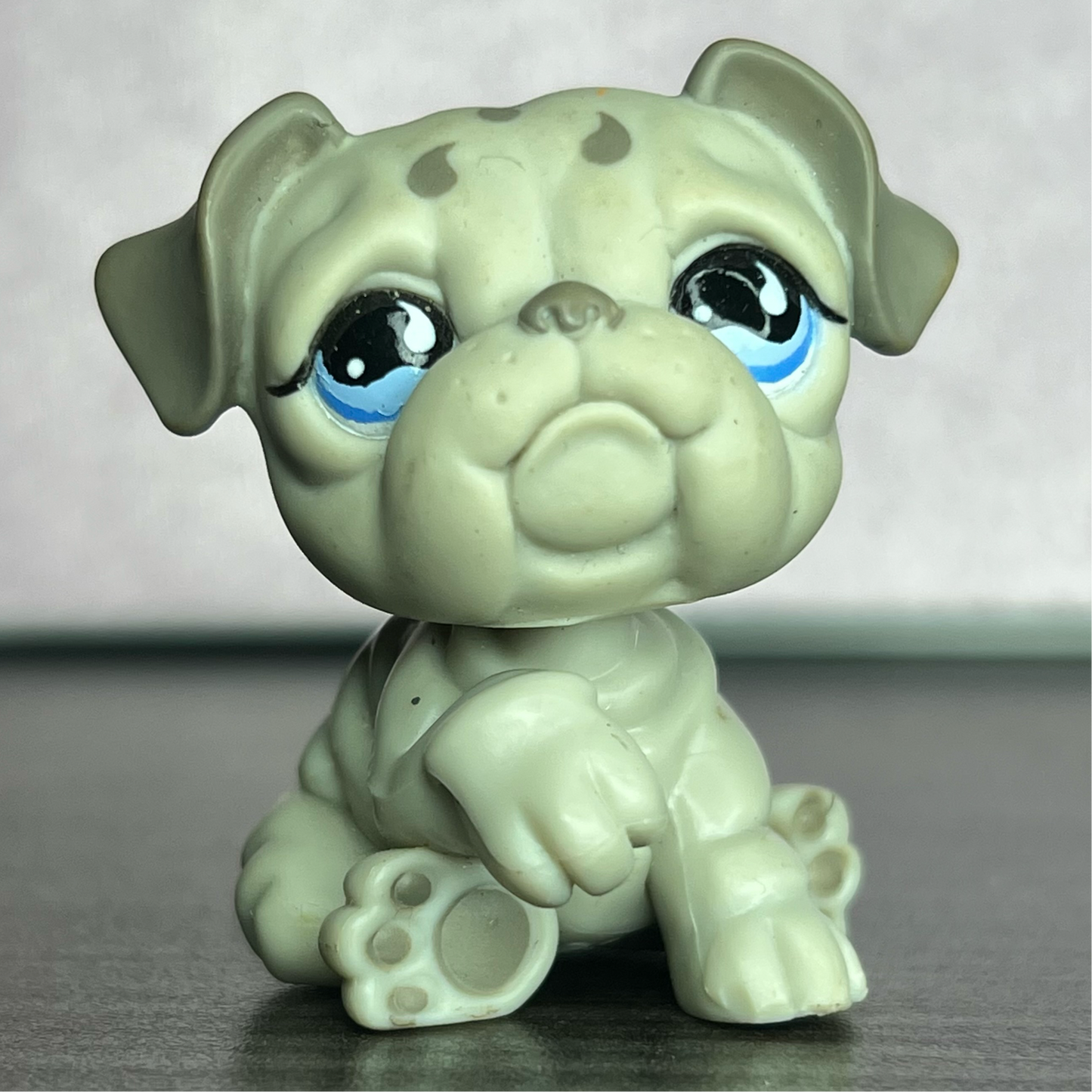 LPS Bulldog #508