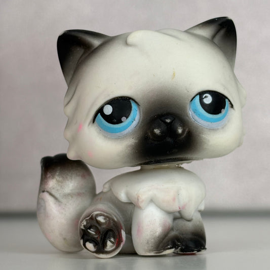 LPS Persian Cat #60