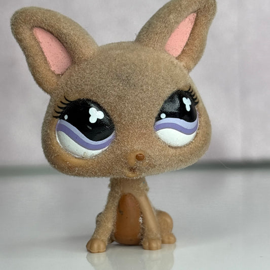 LPS Flocked Chihuahua Dog #461