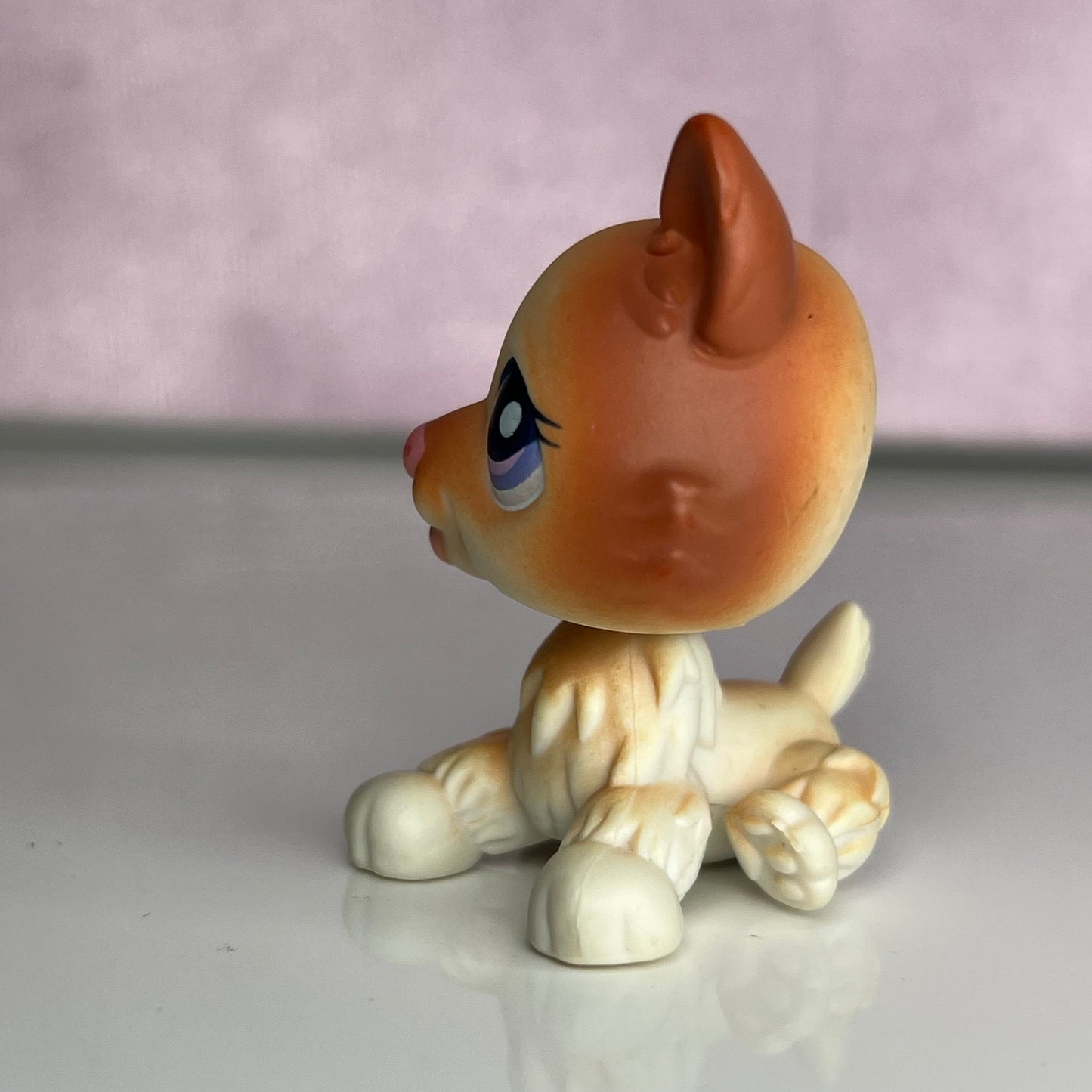 LPS Husky Dog #37