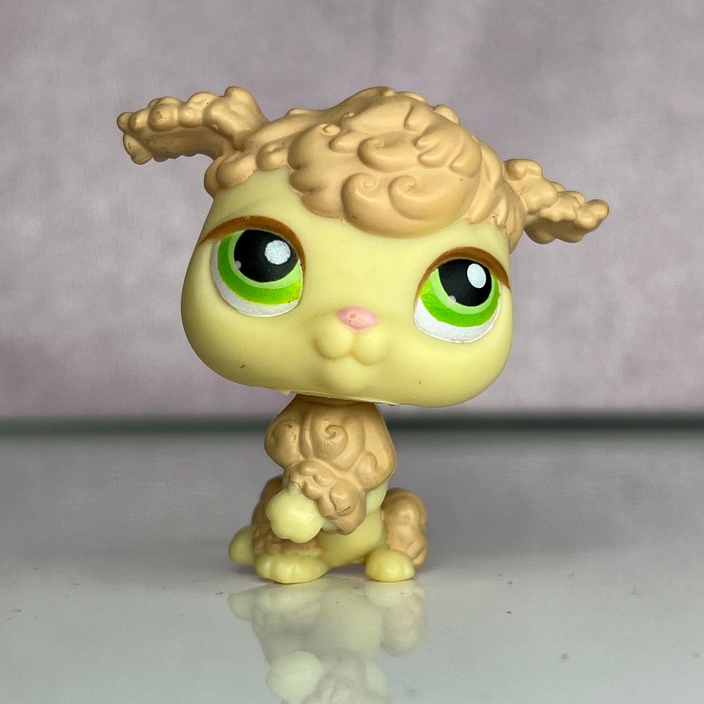 LPS Poodle Dog #146