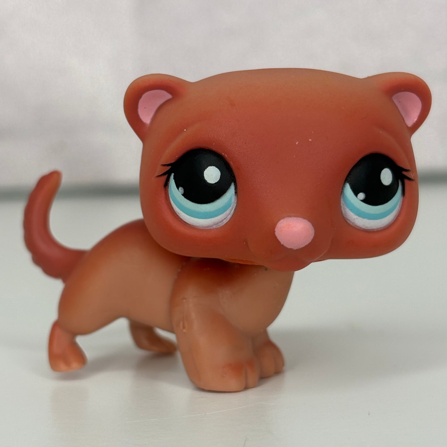 LPS Ferret #334