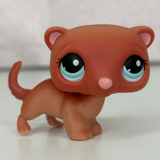 LPS Ferret #334