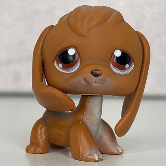 LPS Beagle Dog