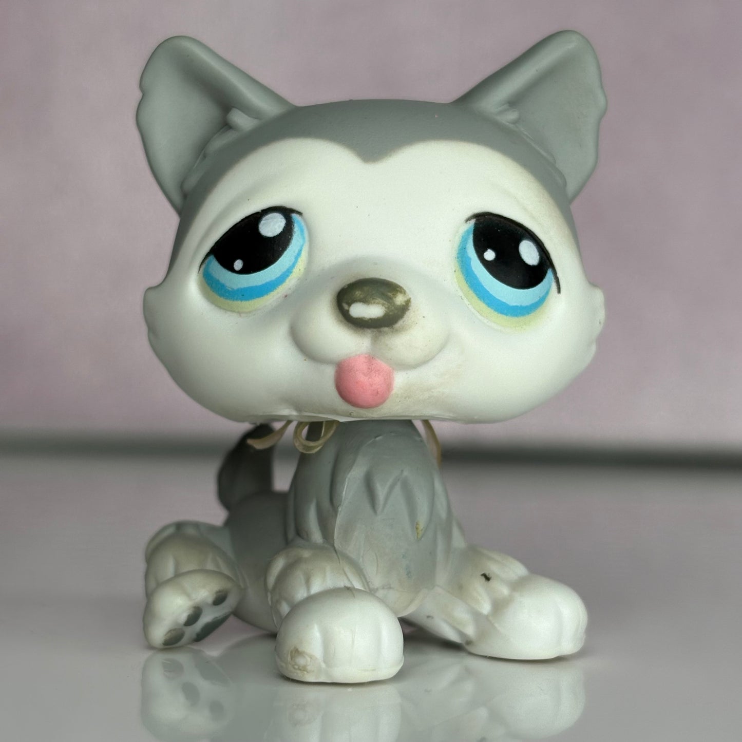 LPS Husky Dog #70