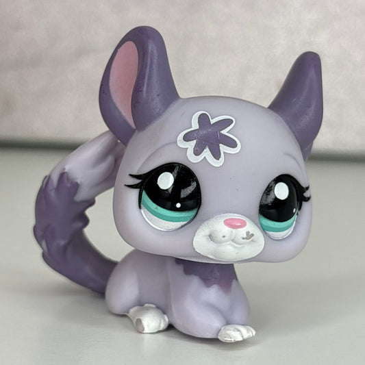 LPS Chinchilla #2135
