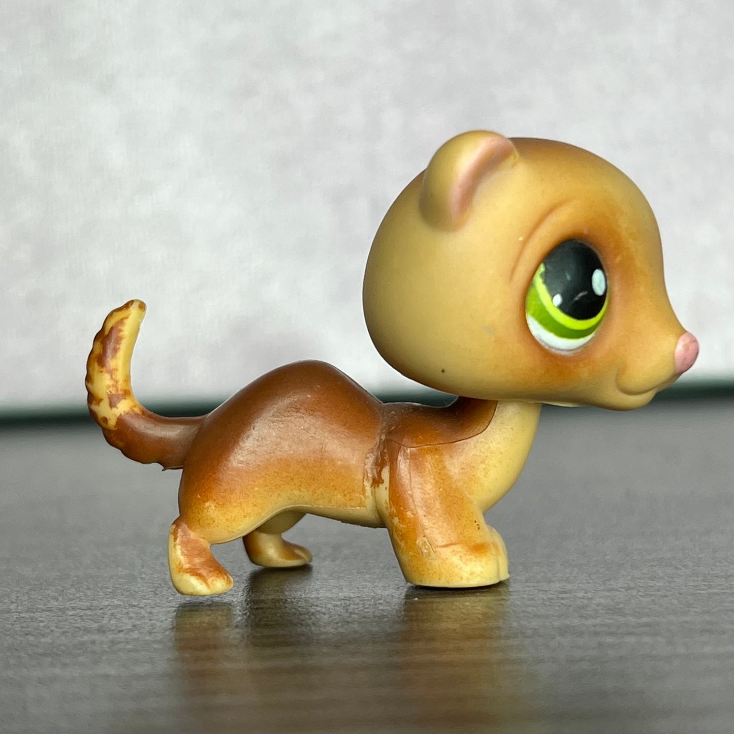 LPS Ferret #209