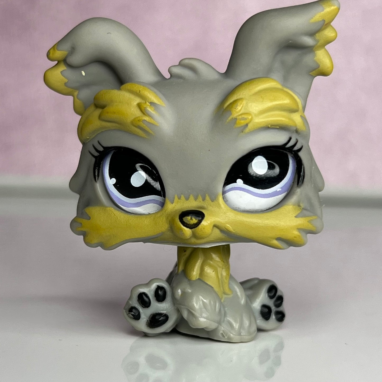 LPS Glass Eye Yorkie Dog #883