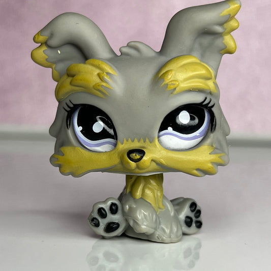 LPS Glass Eye Yorkie Dog #883