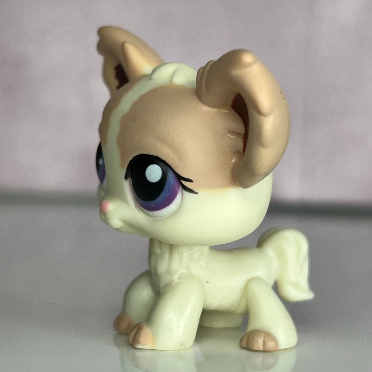 LPS Chihuahua Dog #438