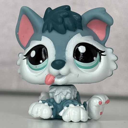 LPS Husky Puppy Dog #2036